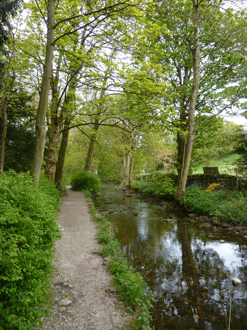 Malham Woods